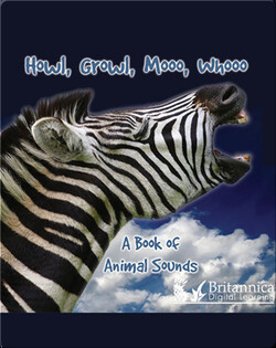 Howl, Growl, Mooo, Whooo, A Book of Animal Sounds