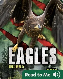 Eagles