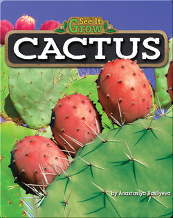 Cactus