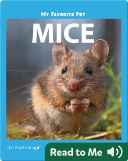 My Favorite Pet: Mice