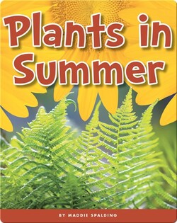 Plants in Summer