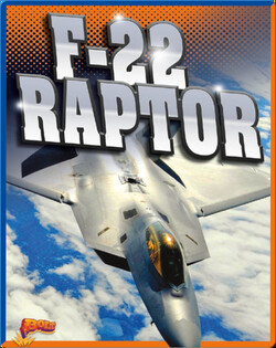 F-22 Raptor