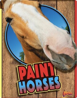 Paint Horses