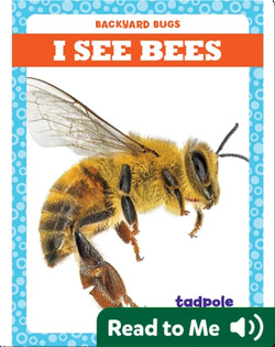 I See Bees