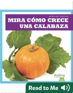 Mira cómo crece una calabaza (Watch a Pumpkin Grow)