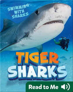 Tiger Sharks