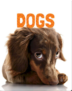 Dogs