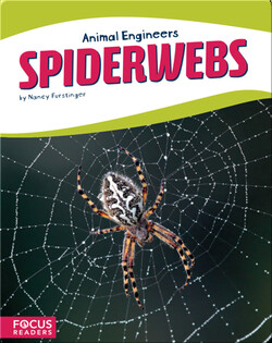 Animal Engineers: Spiderwebs