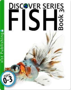Fish 3