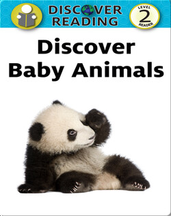 Discover Baby Animals