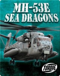 MH-53E Sea Dragons
