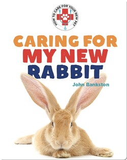 Caring for My New Rabbit