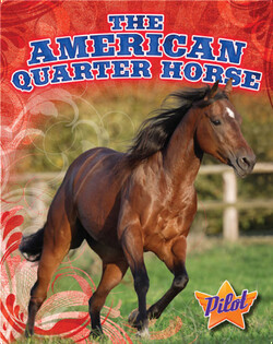 The American Quarter Horse