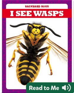 I See Wasps