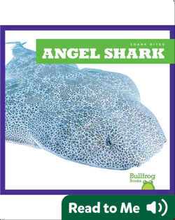 Shark Bites: Angel Shark