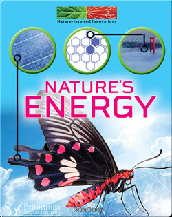 Nature's Energy