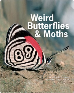 Weird Butterflies and Moths