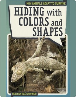 Hiding with Colors and Shapes