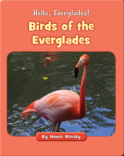 Hello, Everglades!: Birds of the Everglades