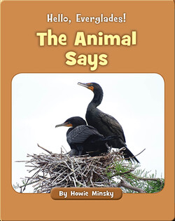 Hello, Everglades!: The Animal Says