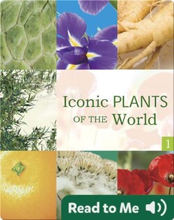 Iconic Plants of the World 1