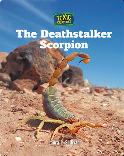 Toxic Creatures: The Deathstalker Scorpion