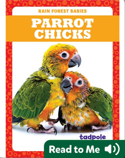 Rain Forest Babies: Parrot Chicks