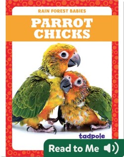 Rain Forest Babies: Parrot Chicks