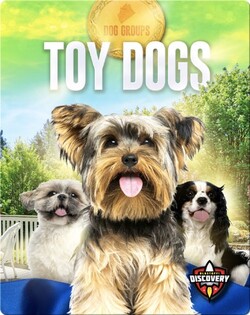 Dog Groups: Toy Dogs