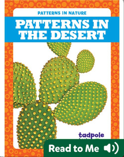 Patterns in the Desert
