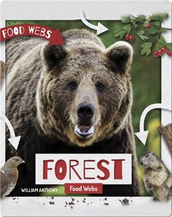 Forest Food Webs