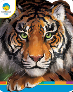 Tigers