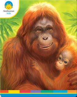 Orangutans