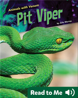 Animals with Venom: Pit Viper