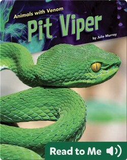 Animals with Venom: Pit Viper