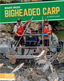 Invasive Species: Bigheaded Carp