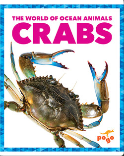 The World of Ocean Animals: Crabs