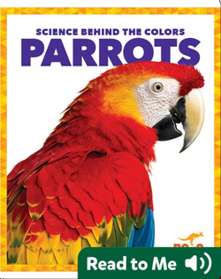 Science Behind the Colors: Parrots