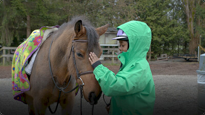 I Love: Ponies