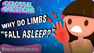 Colossal Questions: Why Do Body Parts "Fall Asleep"?