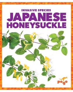 Invasive Species: Japanese Honeysuckle