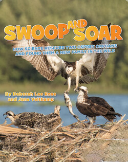 Swoop and  Soar