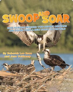Swoop and  Soar