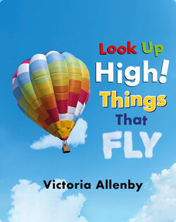Look Up High! Things That Fly