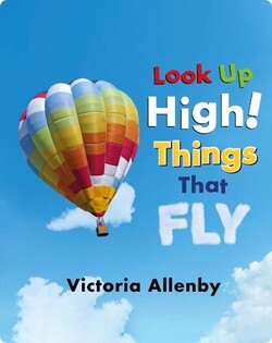 Look Up High! Things That Fly