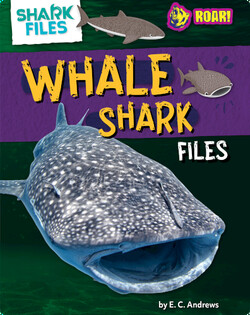 Whale Shark