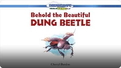 Behold the Beautiful Dung Beetle