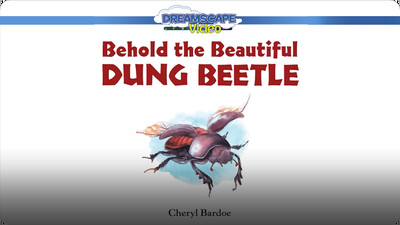 Behold the Beautiful Dung Beetle