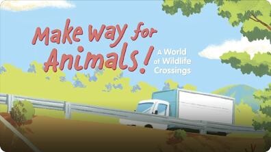 Make Way for Animals