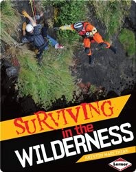 Surviving in the Wilderness